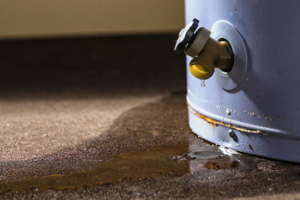 Best Residential water damage restoration  in Rainbow Springs, FL