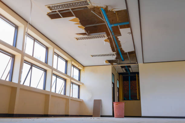 Best Water damage cleanup near me  in Rainbow Springs, FL