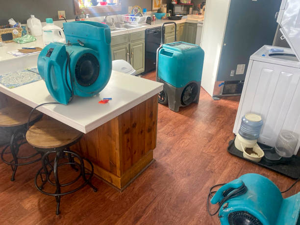 Best Local water damage restoration  in Rainbow Springs, FL