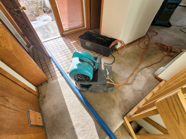 Best Flood damage cleanup  in Rainbow Springs, FL