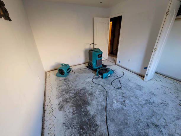 Best Carpet water damage restoration  in Rainbow Springs, FL