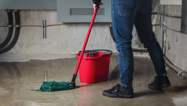 Best Water damage contractors near me  in Rainbow Springs, FL