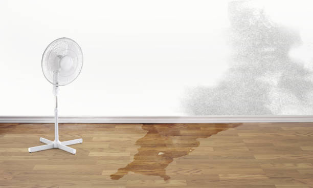 Best Emergency water damage restoration  in Rainbow Springs, FL