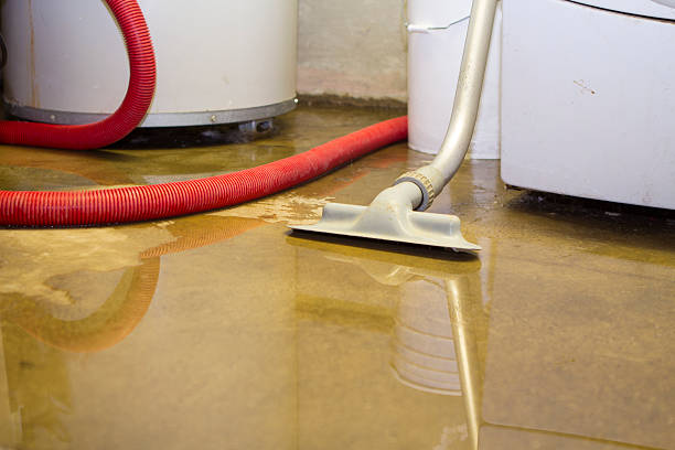 Best Sewage cleanup and water damage restoration  in Rainbow Springs, FL