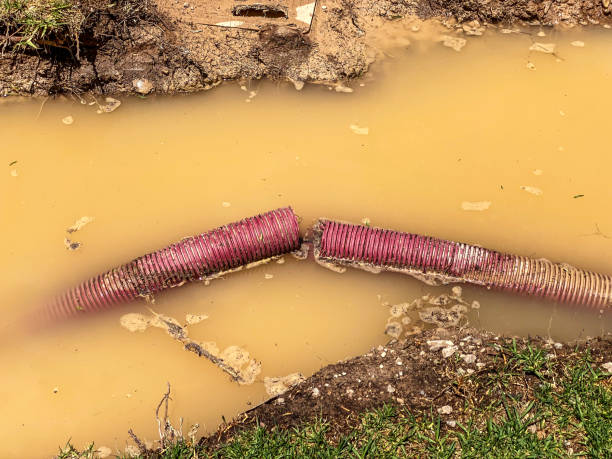 Best Sewage cleanup and water damage restoration  in Rainbow Springs, FL